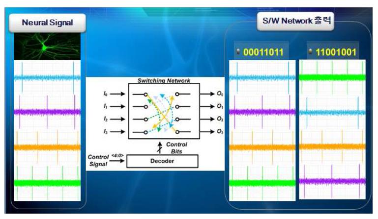 신경 신호 스위칭 시뮬레이션 결과