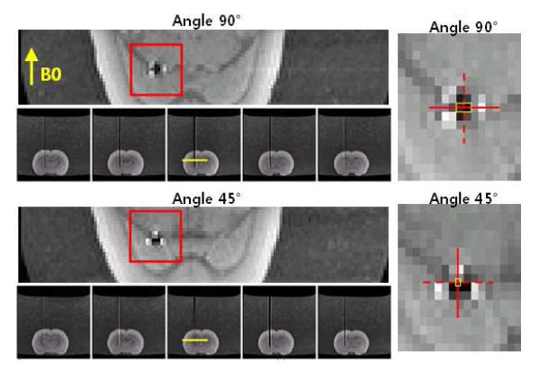 Tungsten 전극을 삽입한 rat brain에서 45°와 90° viewangle에 따른 전극 위치 결정 (전극 추정 위치를 노란 박스로 표시)