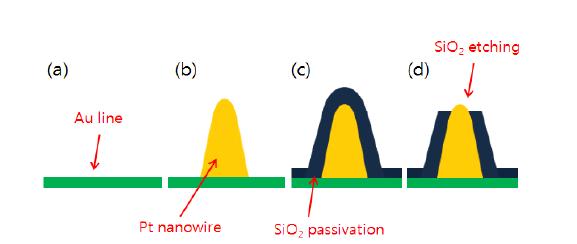 신경신호 검출나노와이어 제작 과정 (a)금(Au)선의 표면 연마 (b) 백금(Pt) 나노와이어 제작 (c) 절연막 증착 (d) FIB를 이용한 절연막 식각