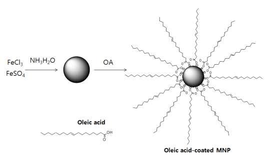 Oleic acid로 코팅된 자성나노입자의 모식도