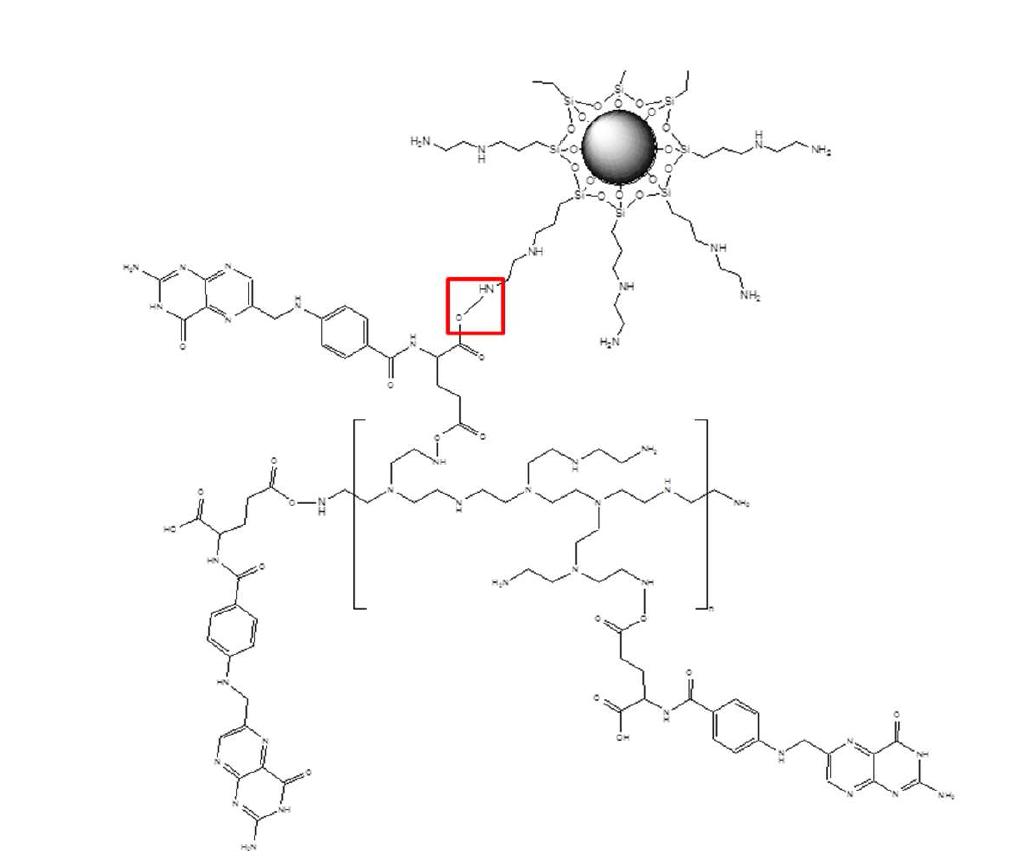 PEI-folate가 코팅된 나노복합체