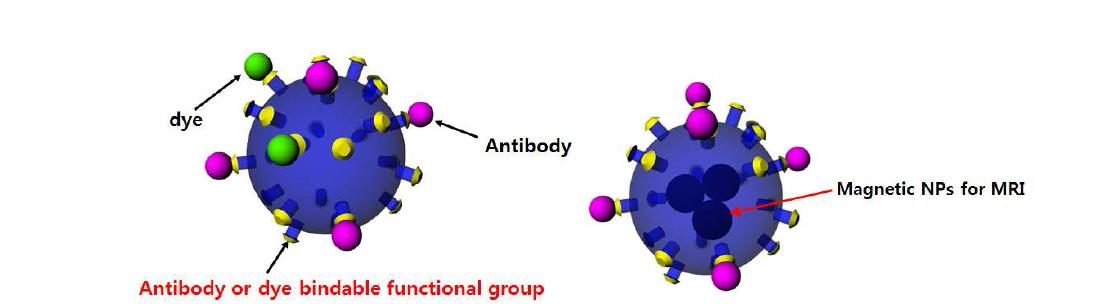 Dye와 antibody가 결합된 공액 고분자 기반 유기 나노입자와 공액 고분자 기반의 유기 나노입자 복합소재 모식도