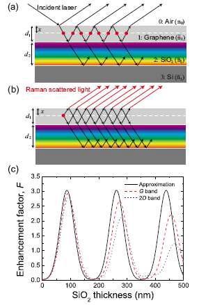 (a) 그래핀에 라만편광 레이저가 입사 혹은 (b) 반사하는 경우에 대한 간략그림. (c) multiple scattering Raman을 고려하는 경우 라만 scattered light beam intensity의 enhancement factor에 대한 계산 비교.
