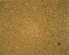 800°C에서 공정을 실행한 Cu 표면의 Optical Microscope Image, 오른쪽 아래에 evaporation으로 인해 발생한 구멍이 보인다.