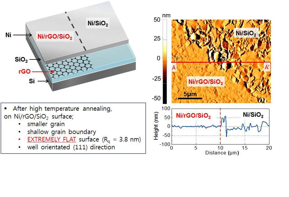고온 열처리를 진행 한 후의 Ni/rGO/SiO2 표면