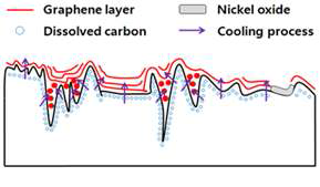 Ni과 Pt 금속 촉매층의 열처리 직후 표면 거칠기 비교