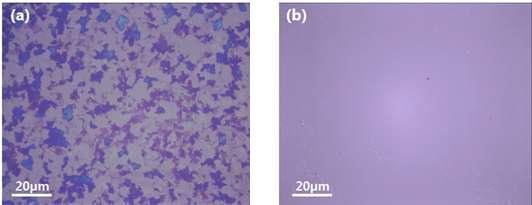 (a)일반적인 CVD 공정을 통해 성장된 그래핀의 현미경 사진, (b) 본 연구 그룹에서 제안 한 ICP CVD를 통해 Cu 기판에서 성장한 그래핀의 현미경 사진