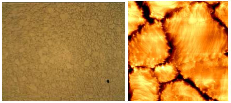 ICP CVD 공정을 마친 금속 표면의 현미경(좌)과 AFM(우)