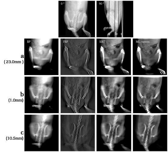촬영각 60o에서 31개의 투영데이터로 얻은 단층영상합성의 예. 1mm, 10.5mm, 23mm의 깊이에서 BP, FBP, SART(SIRT), ML 알고리듬으로 얻은 영상들이다. 제일 상단의 영상은 0o 및 90o 각도에서 본 투영영상이며 90o 투영영상에 단면의 위치 a, b, c를 표시하였다