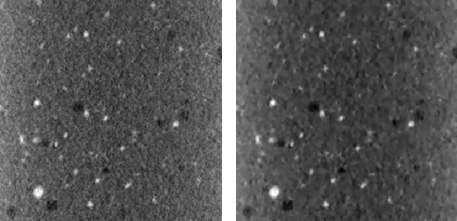 Anisotropic diffusion filter 적용 전(좌)과 후(우)의 엑스선 단면 영상