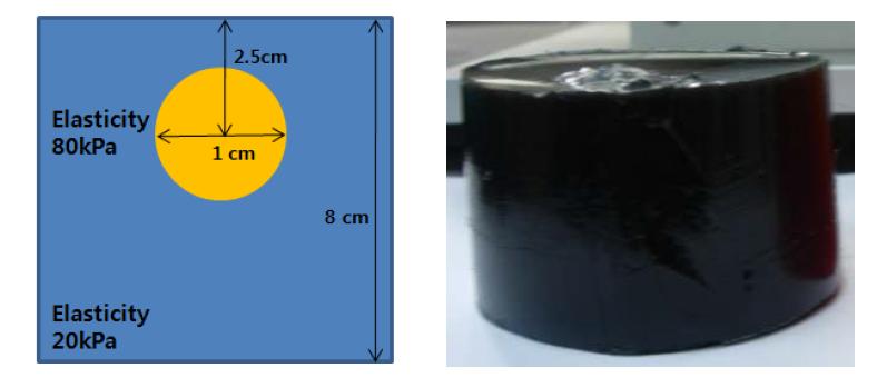 초음파 탄성영상용 팬텀 구조(좌) 및 실물 형상(우)