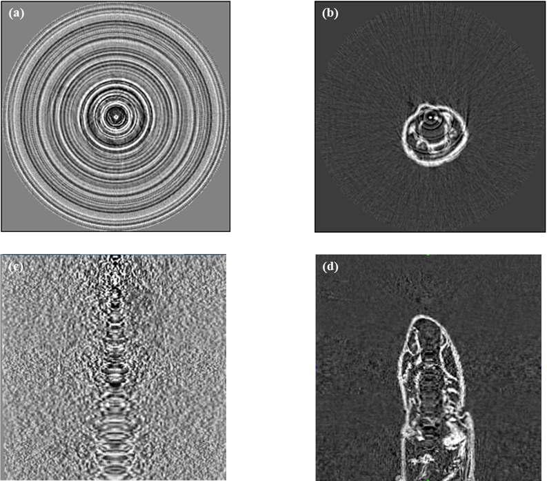 일반적인 flat field correction 방법과 제안된 flat field correction 방법을 적용하여 재구성한 CT 영상 결과. 상: axial slice, 하: lateral slice, 좌: 기존 방법 적용, 우: 제안한 방법 적용