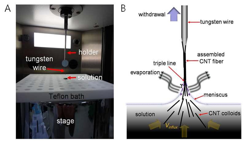 (a) 딥코터, (b) 메니스커스 모델에 기반한 탄소나노튜브 합성 원리 도안