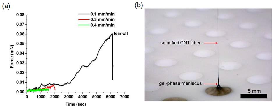 (a) 탄소나노튜브 구조물이 합성되는 동안사 진섬유에 작용되는 힘, (b) 겔 상태 메니스커스의 광학 사진