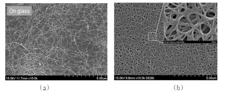 (a) 유리기판 위에 적은 분무량(3 ml)으로 분무 코팅된 탄소나노튜브 막의 주사전자현미경 측정 사진, (b) 7 ml 분사 코팅된 균일한 탄소나노튜브 막의 주사전자현미경 측정 사진