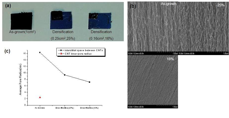 (a) 기계적으로 밀집화된 수직배열 탄소나노튜브 (b) 파단면의 주사전자현미경 사진 (c) BJH방법으로 측정된 수직배열 탄소나노튜브 사이 평균 공간 사이즈 측정 결과