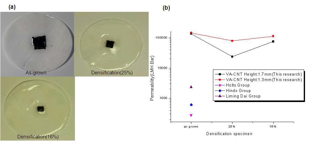 (a)수직배열 탄소나노튜브막 (b)투수율 측정 결과