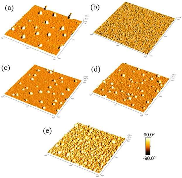 아세틸렌 없이 10분간 탄소나노튜브 성장공정을 진행하였을 때 촉매의 AFM이미지. 2 nm 두께의 철 촉매층이 (a) 3, (b) 6, (c) 9, (d) 12, (e) 18 nm 의 알루미늄 완충층 위에 증착됨.