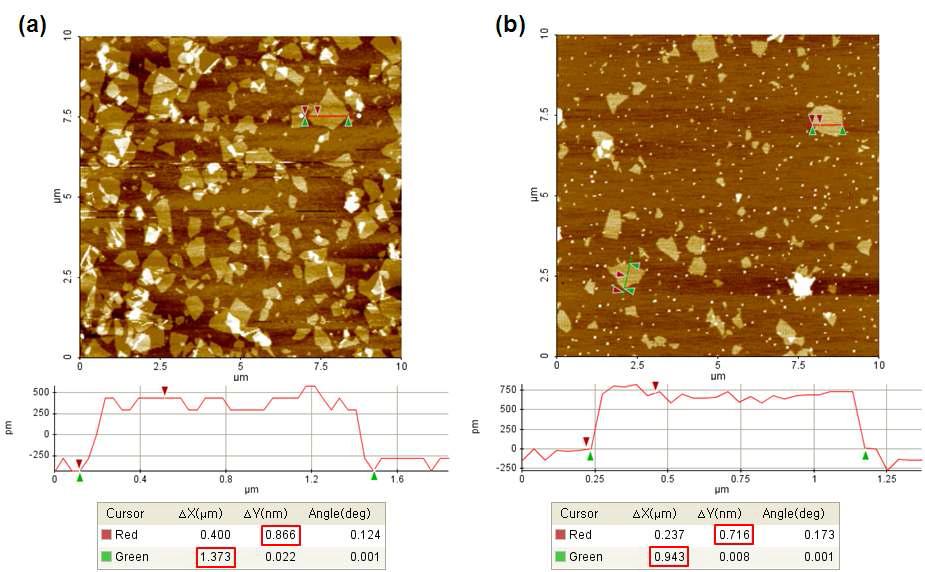 (a) 산화 그래핀의 크기 (b) 환원 그래핀의 크기