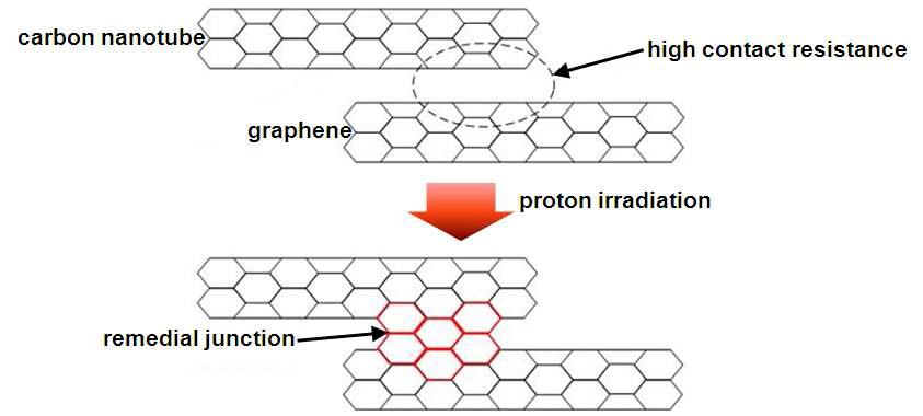 양성자 조사에 의한 탄소나노튜브와 그래핀 사이의 접촉 형상 변화 예상의 개념도