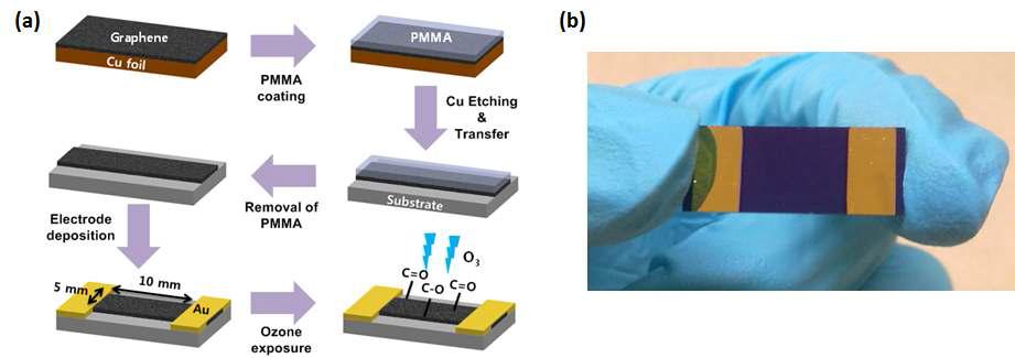 (a) 그래핀 디바이스 제작 과정 및 (b) 광학사진
