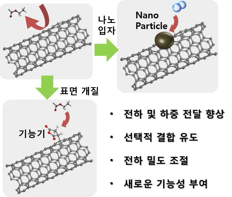 탄소나노 계면 설계