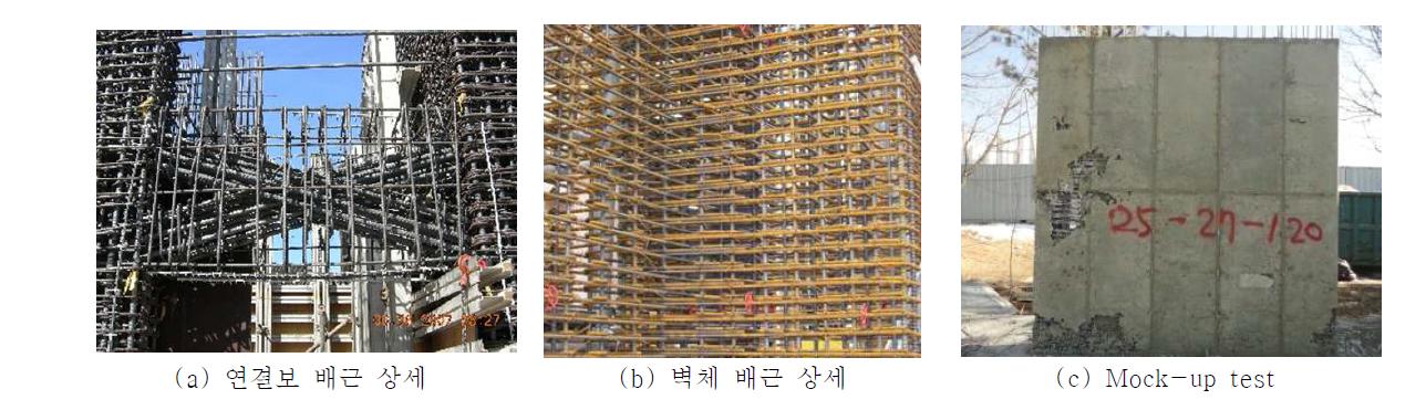 얇은 벽식 구조물의 특수 전단벽 설계 문제점 (정광량 외 3인, 2013)