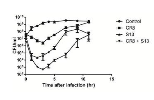 Growth inhibition assay of phages against C. sakazakii ATCC 29544