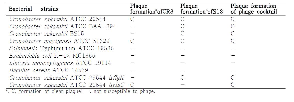 Host range of C. sakazakii bacteriophage CR8, S13 and phage cocktail (CR8+S13)