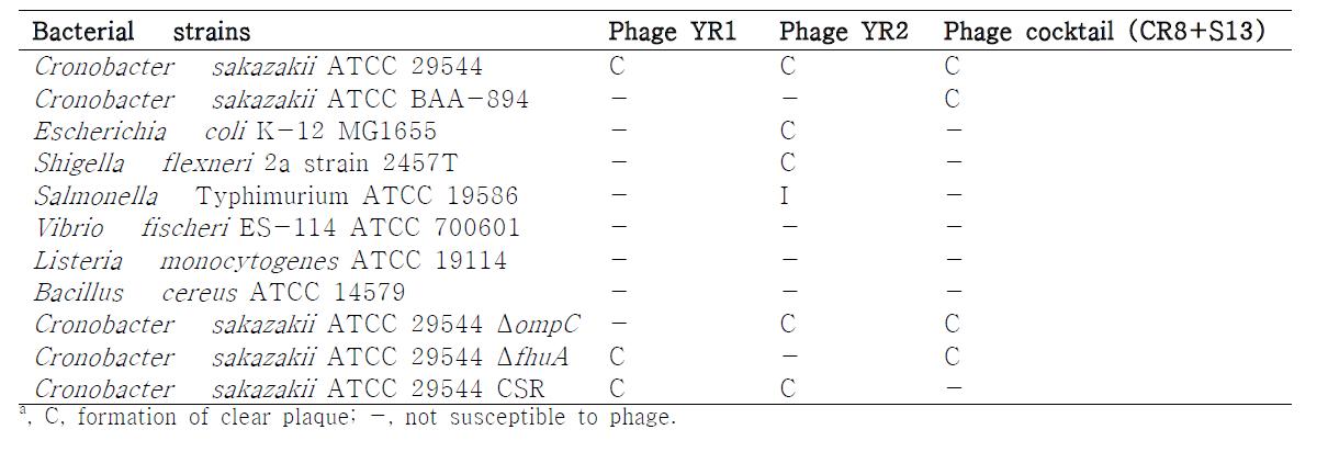 Host range of C. sakazakii bacteriophage YR1 and YR2.