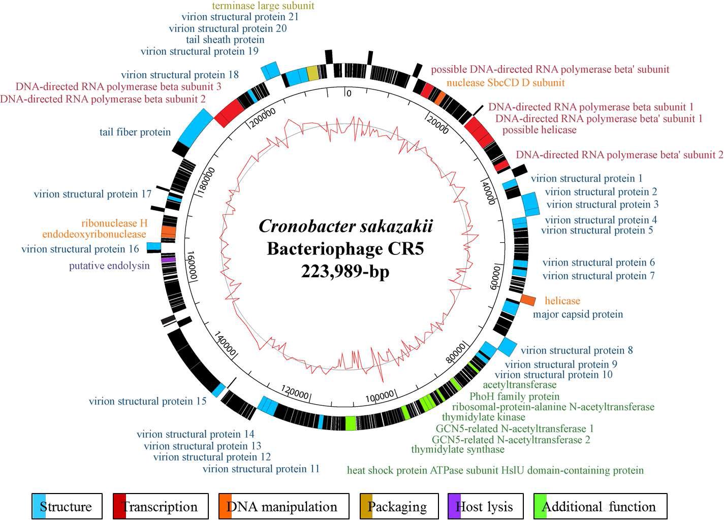 Genome map of phage CR5.