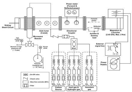 Microwave irradiation system