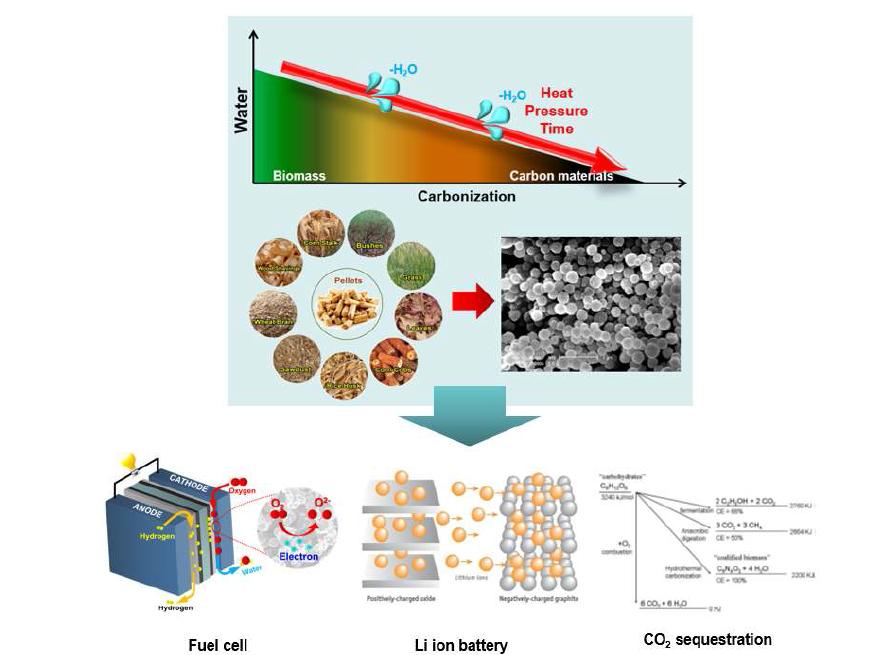 Biomass의 탄소화과정에서 수분이 감소함에 따라 얻어지는 탄소 입자 및 Biomass의 탄소화를 통해 합성된 탄소 입자의 응용분야.