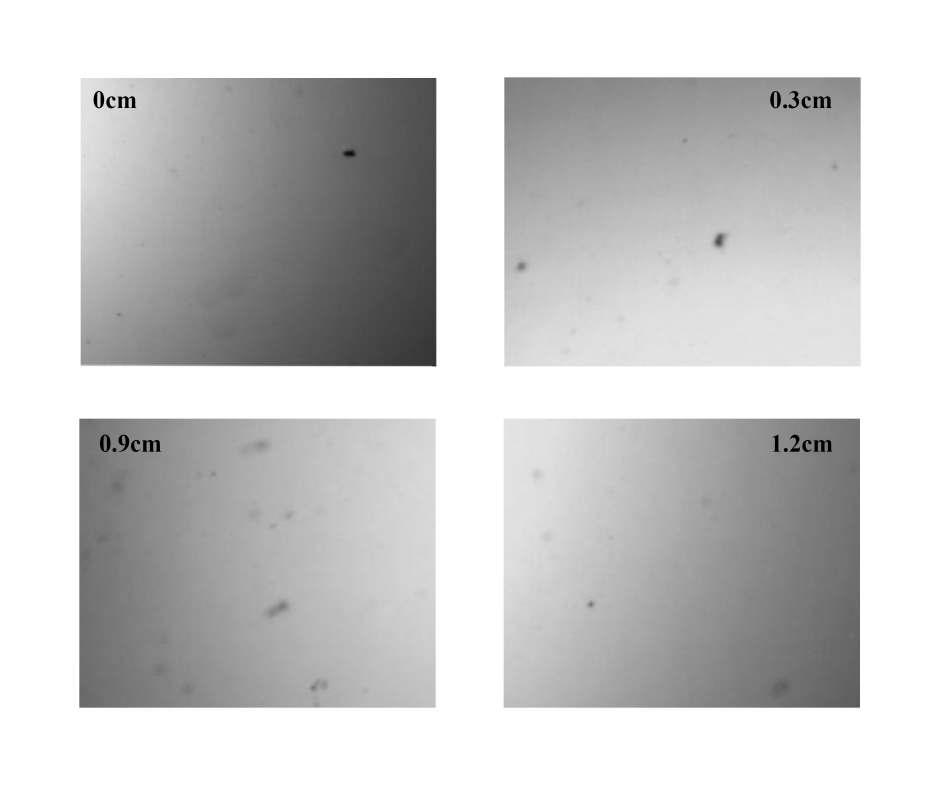 Variations in optical images as a function of bending length. The samples are 45nm-AZO/9nm-Ag/45nm-AZO films following damp heat treatment for 1000hrs.