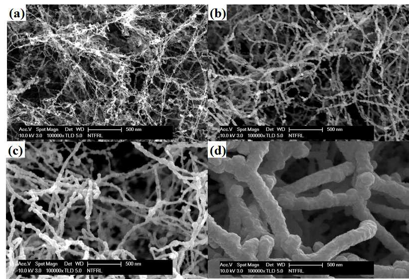 SEM Surface Images of the (a) SWCNTs, (b) ITO (50nm)/SWCNTs, (c) CdS:H (50nm)/ITO/SWCNTs, and (d) CdS:H (100nm)/ITO/SWCNTs Nanocomposites