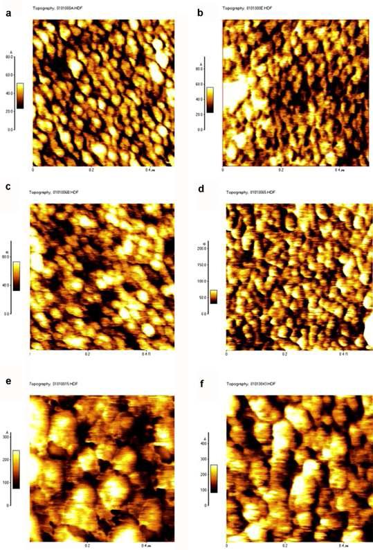 Two-Dimensional AFM Images of (a) bare-NTO (100nm)/AAA (100nm), (b) annealed-NTO (100nm)/AAA (100nm), (c) bare-NTO (100nm)/AAA (200nm), (d) Annealed-NTO (100nm)/AAA (200nm), (e) bare-NTO (100nm)/AAA (400nm), and (f) Annealed-NTO (100nm)/AAA (400nm). Annealing was performed at 450°C for 1hour in an Air Ambient.