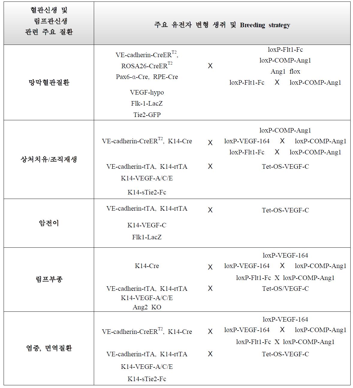 혈관신생 및 림프관신생 관련 주요 질환 연구를 위한 유전자 변형 동물 제작 및 확보 전략