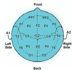 EEG 각 채널의 위치