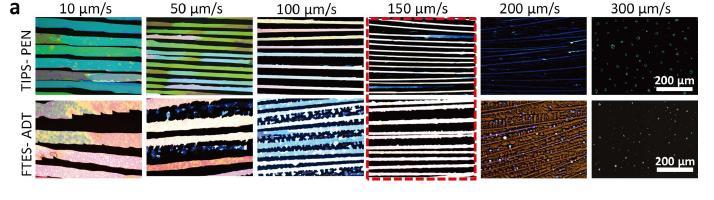 기판의 리프팅 속도에 따른 TIPS-PEN, FTES-ADT 의 편광된 광학 현미경 사진