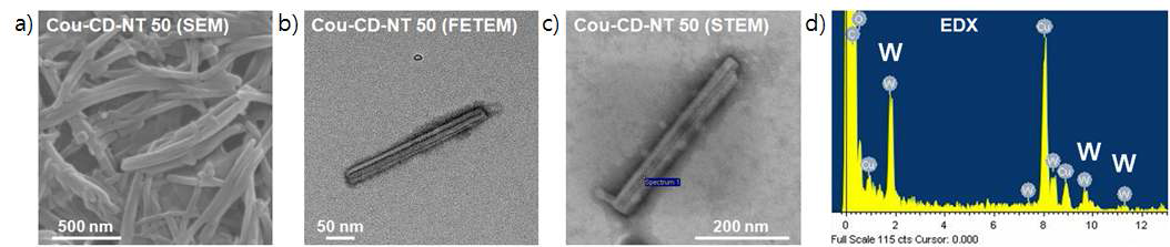 Cou-CD-NT의 SEM (a), FE-TEM (b), STEM (c) images와 EDX data (d).