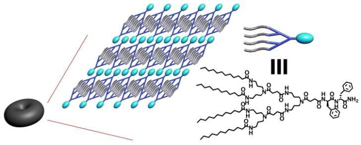 Schematic representation of toroids of 2G-Phe-Phe in HFIP/H2O mixed solvent.