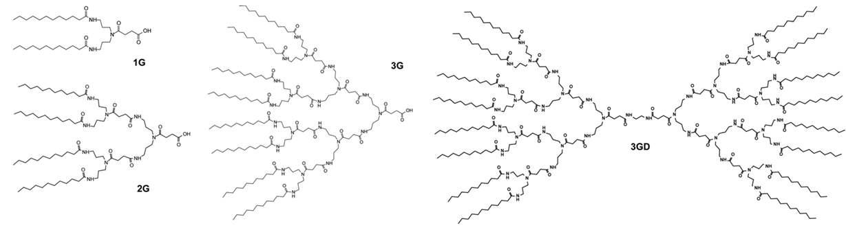 1세대, 2세대 및 3세대 아마이드 덴드론과 3세대 아마이드 덴드론의 dimer의 화학구조.