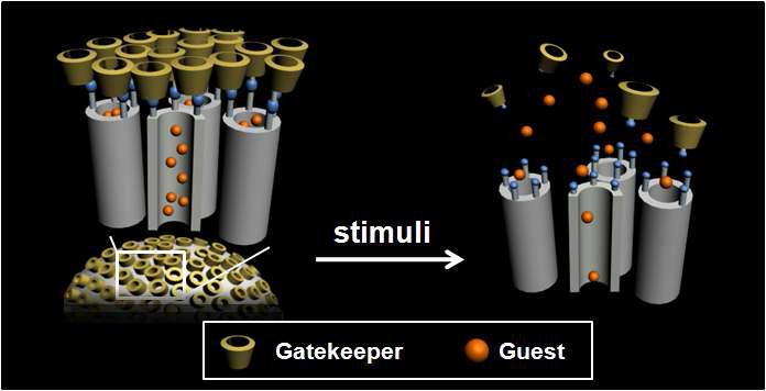 Schematic illustration for stimuli-responsive silica nanocarrier system.