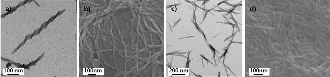 1-butanol에서 2b 분자가 형성한 자기조립 구조의 TEM (a)과 SEM (b) 사진. 1-octanol에 서 2b 분자가 형성한 자기조립 구조의 TEM (c)과 SEM (d) 사진