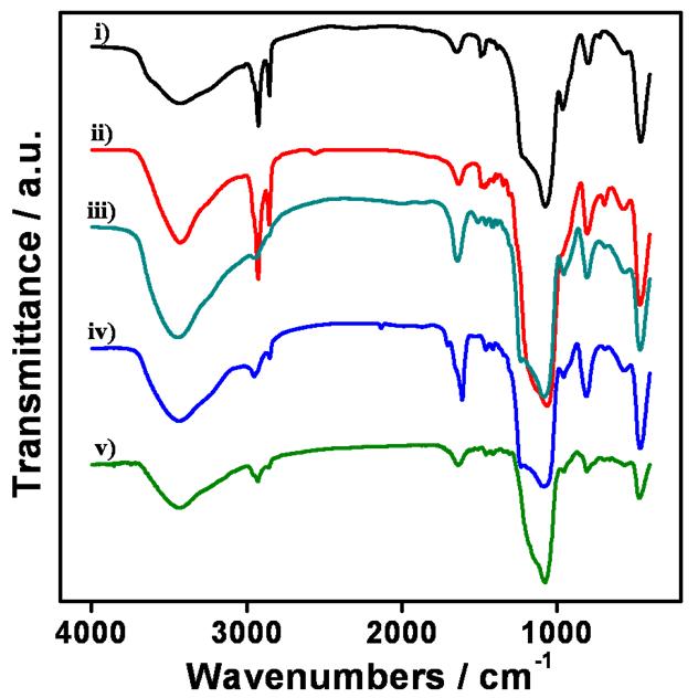 FT-IR spectrum of silica nanocarrier.