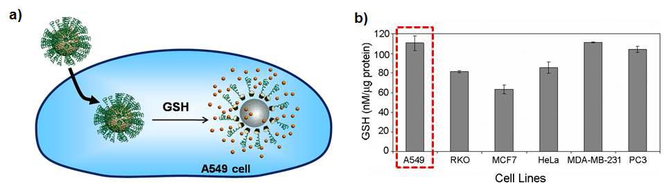 실리카 나노입자의 intracellular release 거동. b) cell line 별 GSH 농도.