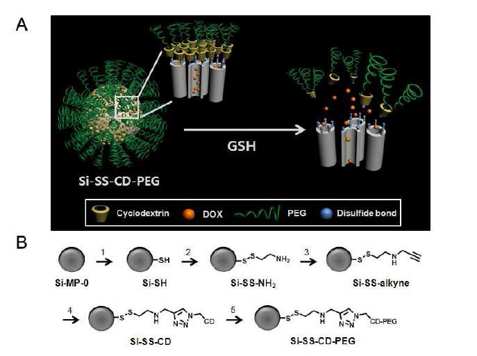 Glutathione (GSH) 감응형 실리카 나노 전달체의 concept (A)과 DOX-loaded Si-SS-CD-PEG 제조 방법 (B).