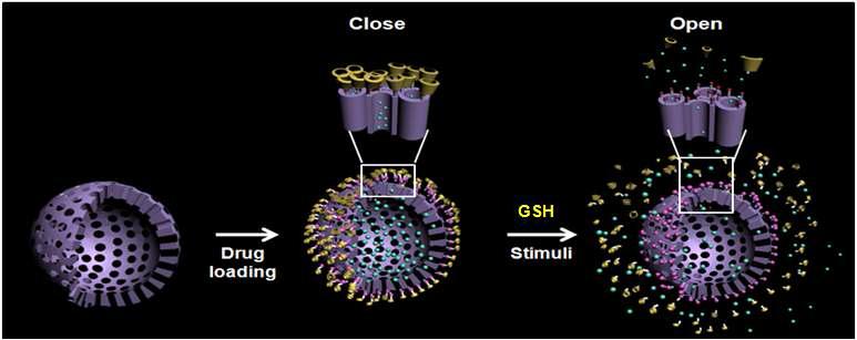 Schematic representation of the stimuli-responsive hollow silica nanoparticle.