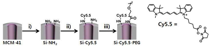 Si-Cy5.5-PEG의 제조 모식도.