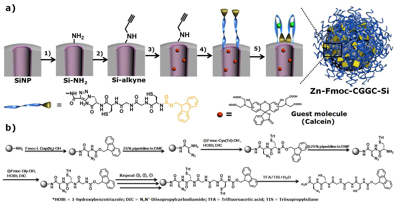 a) Synthetic route to Zn-Fmoc-CGGC-Si. Conditions: 1) (3-aminopropyl)triethoxysilane; 2) propargyl bromide; 3) guest loading; 4) CuSO4, sodium ascorbate and Fmoc-CGGCN3; 5) Zinc perchlorate. b) Synthetic route to Fmoc-CGGC-N3